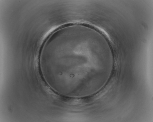 X0000113221279200909101142