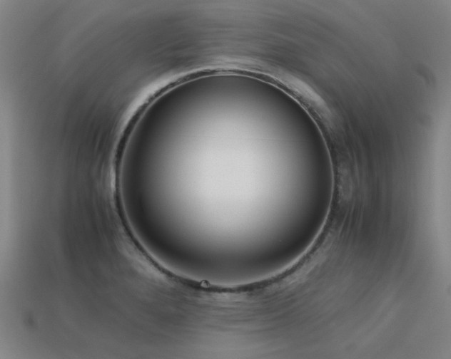 X0000113221280200909101142