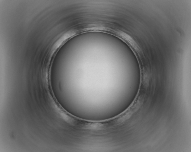 X0000113221282200909101142