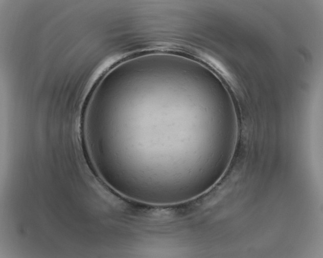 X0000113221283200909101142