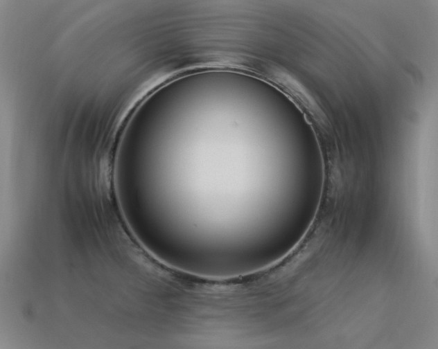 X0000113221284200909101142