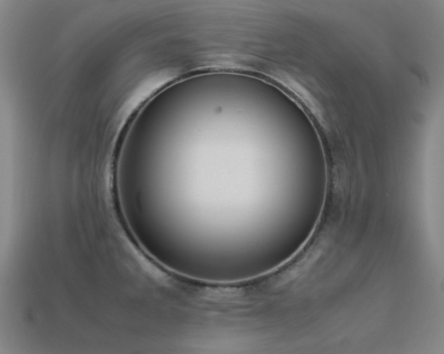 X0000113221285200909101142