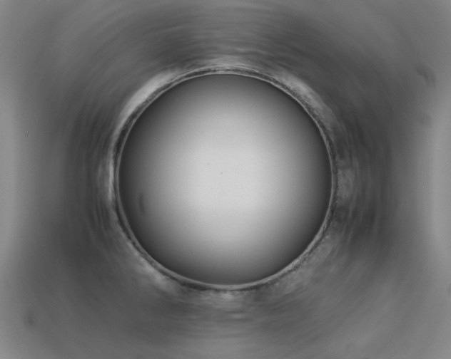X0000113221286200909101142