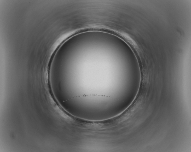 X0000113221287200909101142