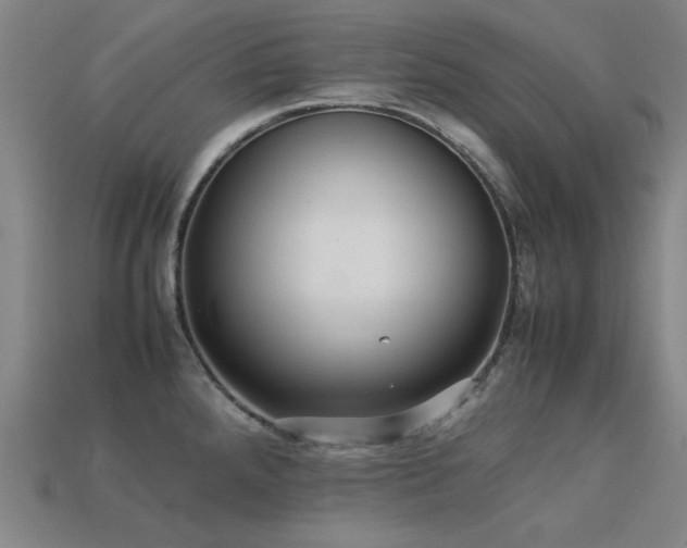 X0000113221288200909101142
