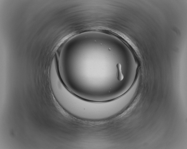 X0000113221289200909101142