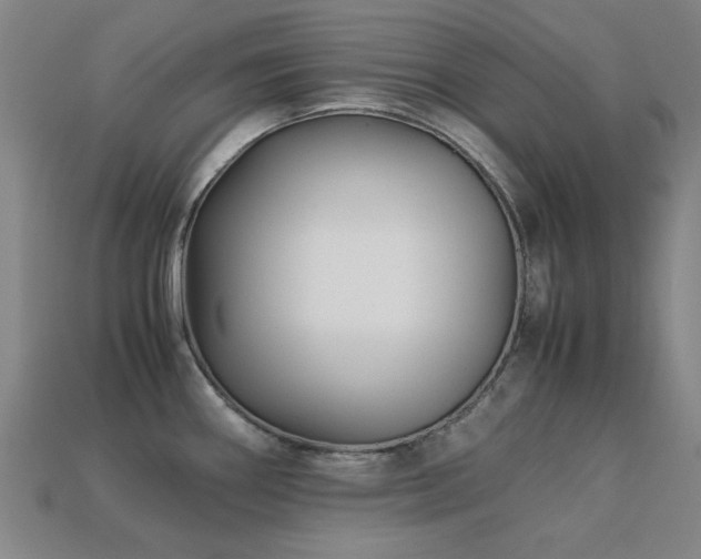 X0000113221290200909101142
