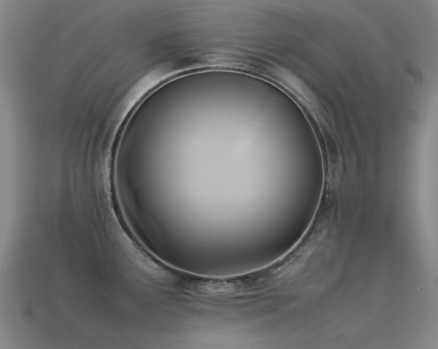 X0000113221291200909101142