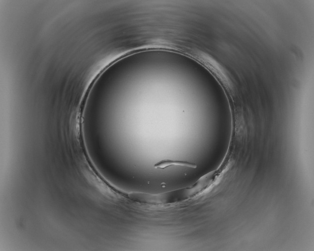 X0000113221292200909101142
