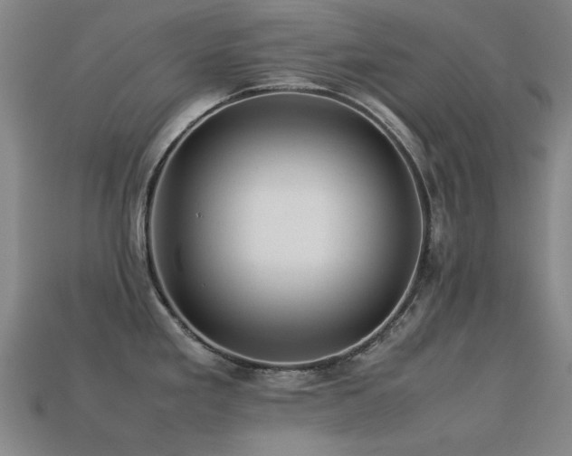 X0000113221293200909101142