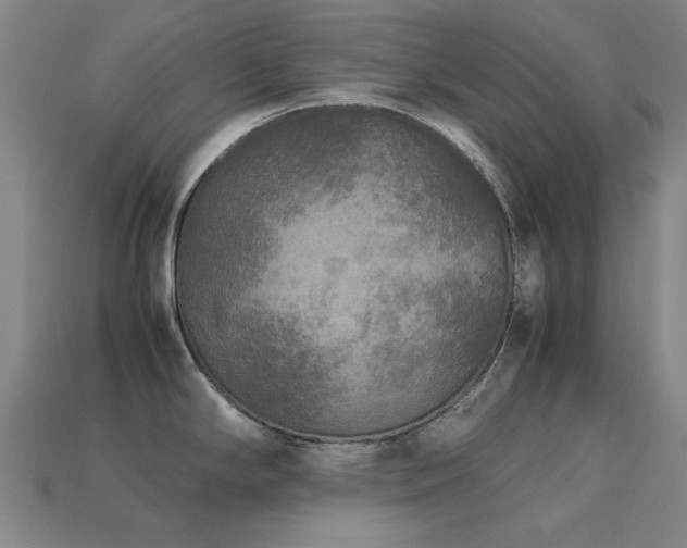 X0000113221294200909101142