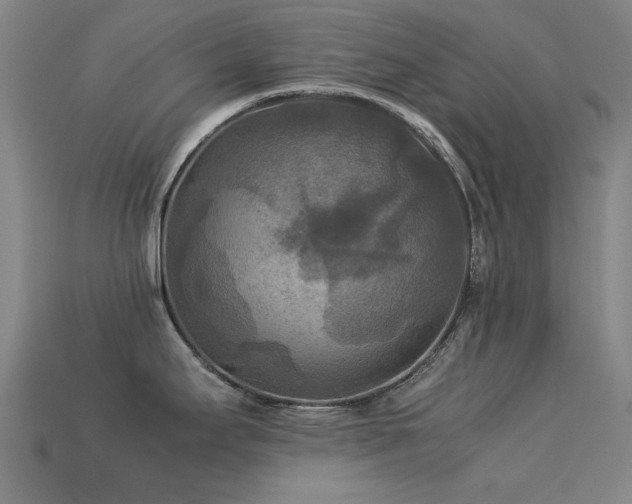 X0000113221295200909101142