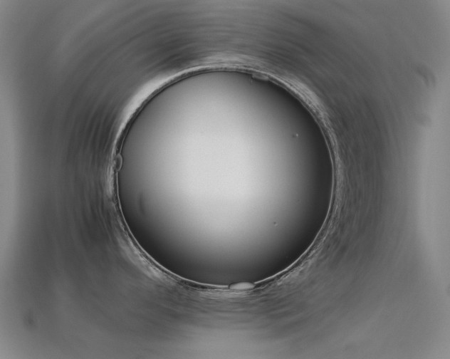 X0000113221296200909101142