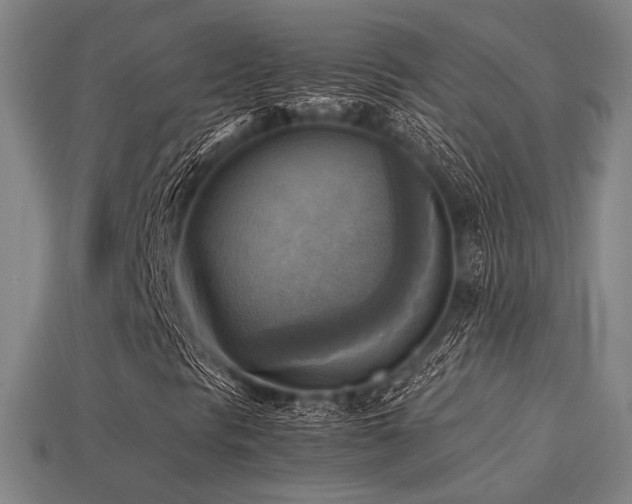 X0000113221297200909101142