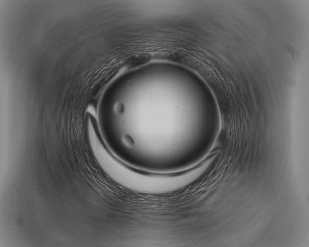 X0000113221298200909101142