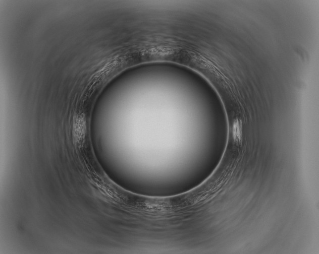 X0000113221299200909101142