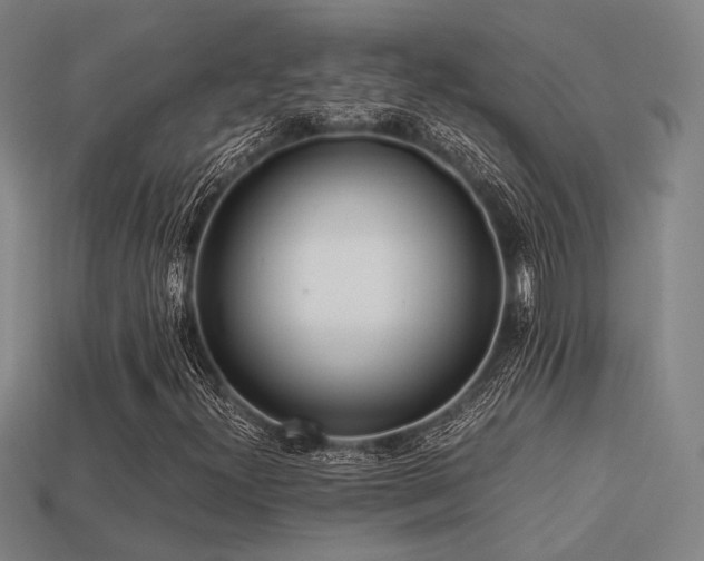 X0000113221300200909101142