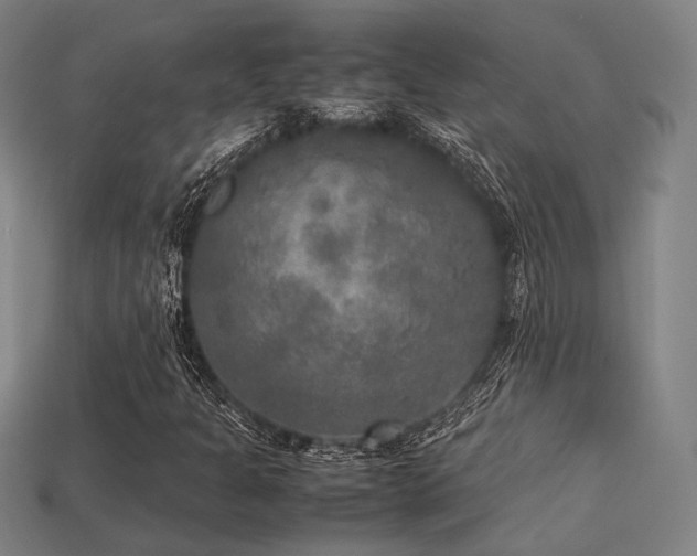 X0000113221301200909101142