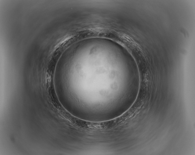 X0000113221302200909101142