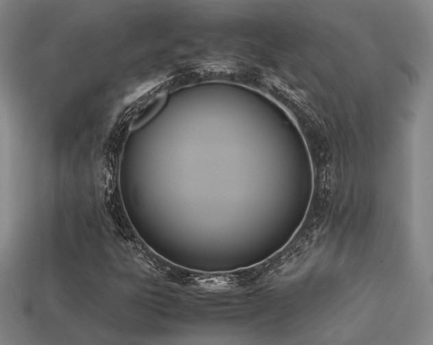 X0000113221303200909101142
