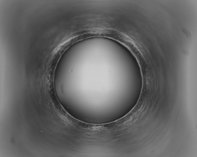 X0000113221304200909101142
