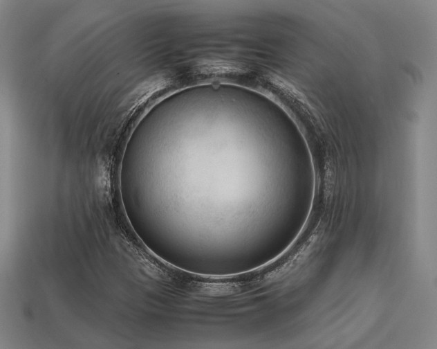 X0000113221305200909101142