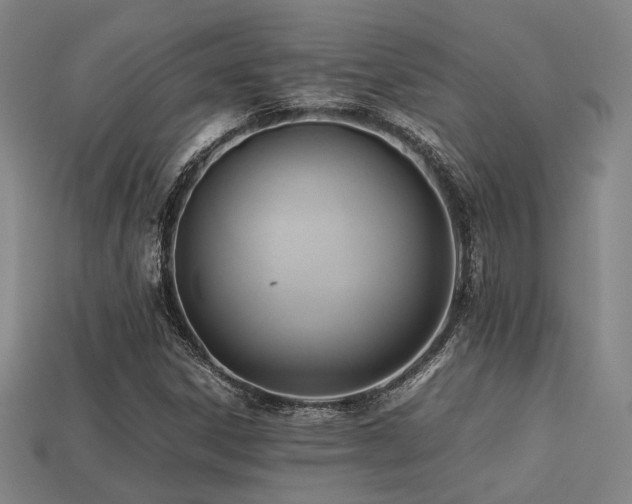 X0000113221306200909101142