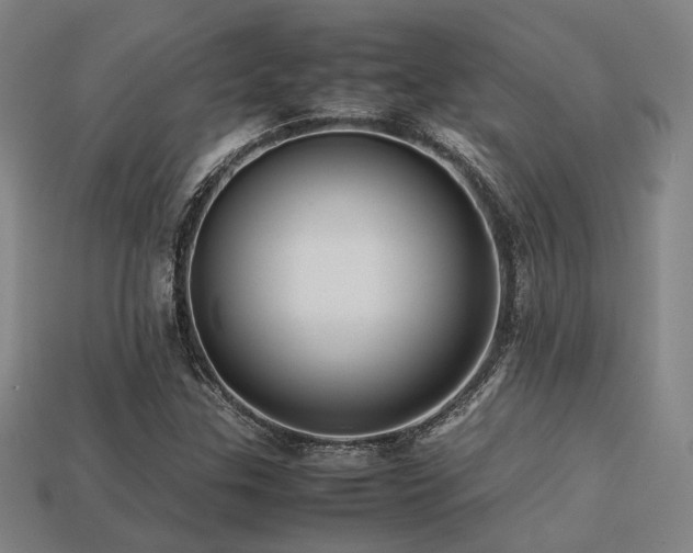X0000113221307200909101142