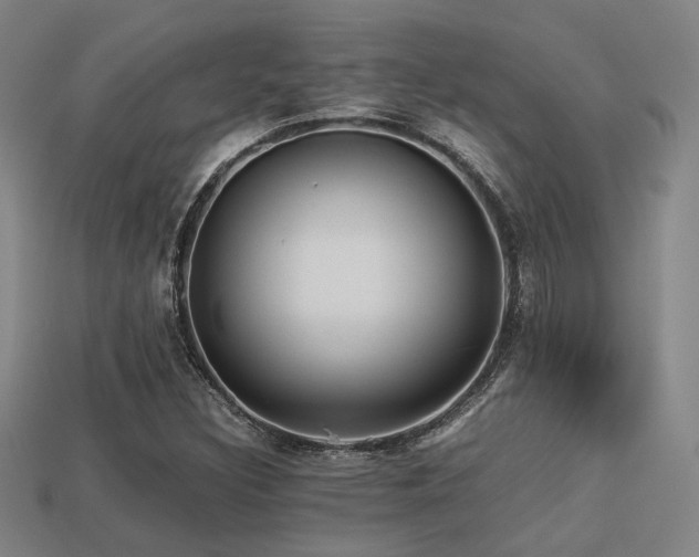 X0000113221308200909101142