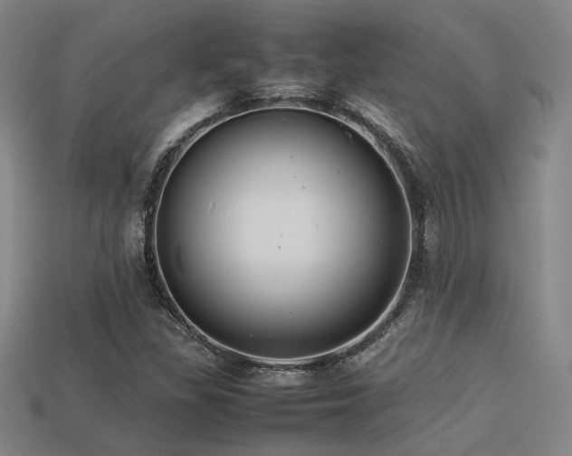 X0000113221309200909101142