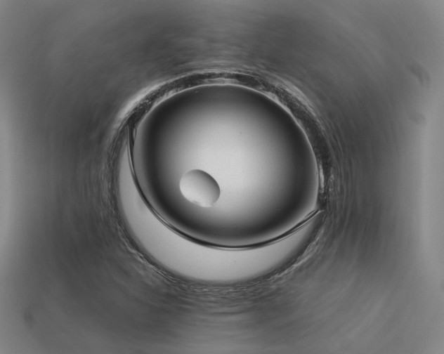 X0000113221310200909101142