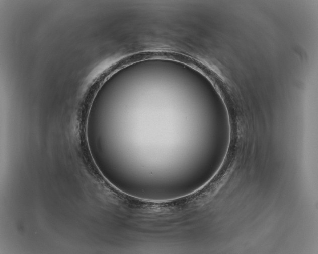 X0000113221311200909101142