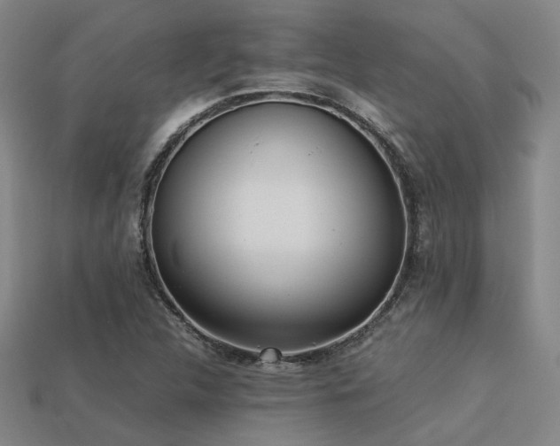 X0000113221312200909101142