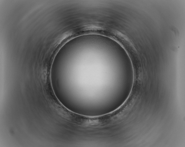 X0000113221313200909101142