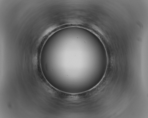 X0000113221315200909101142