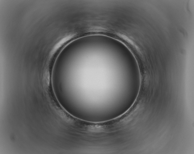 X0000113221317200909101142