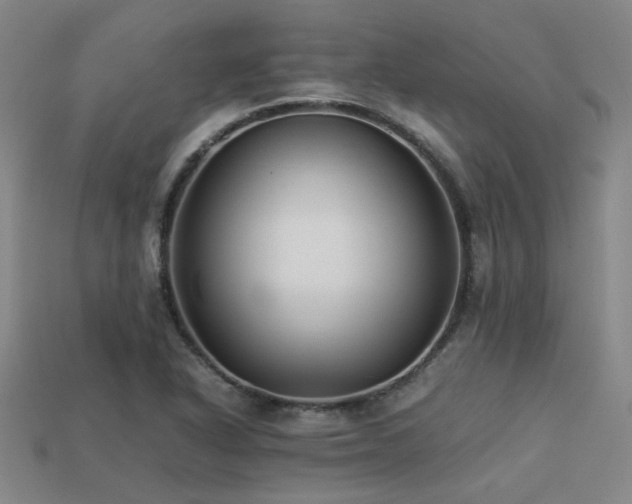 X0000113221318200909101142