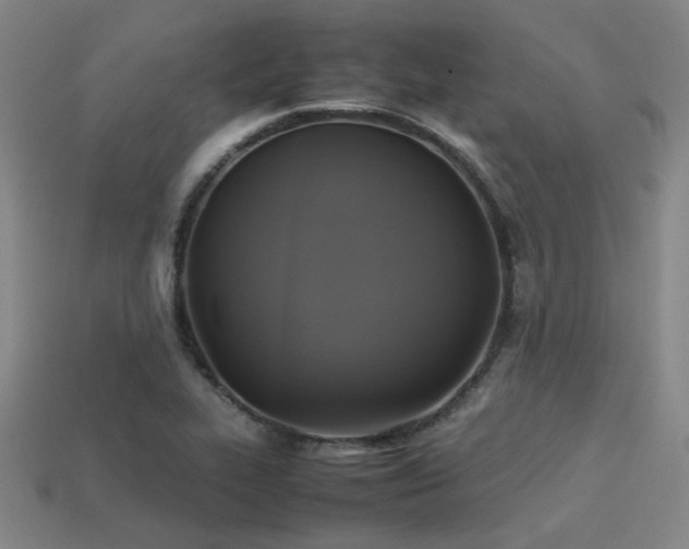 X0000113221319200909101142