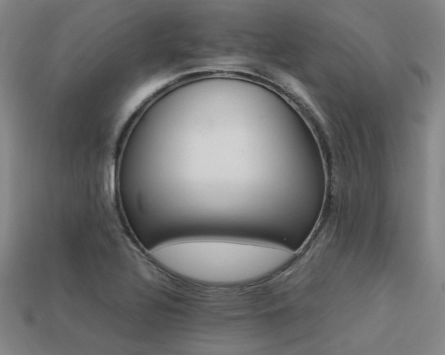 X0000113221320200909101142