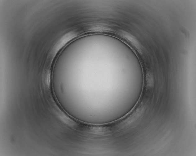 X0000113221322200909101142