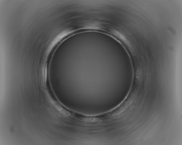 X0000113221323200909101142