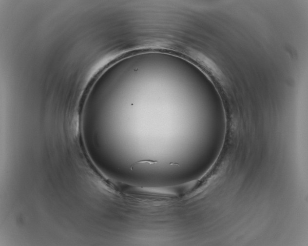X0000113221324200909101142