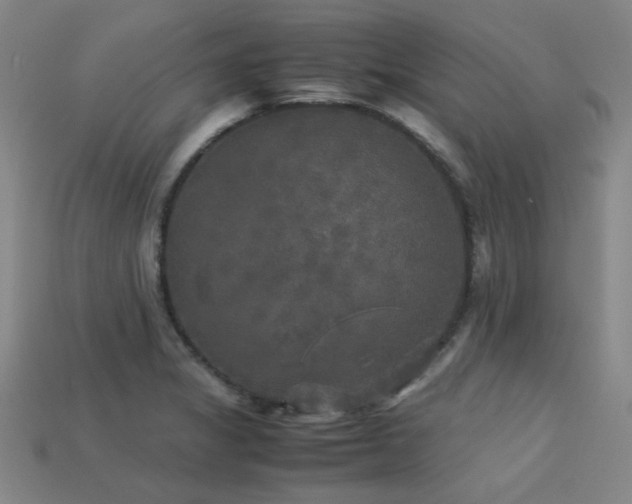 X0000113221325200909101142