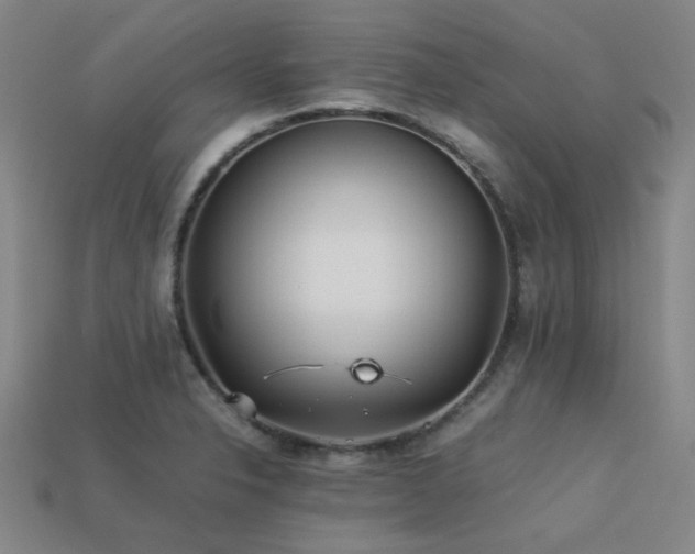 X0000113221326200909101142