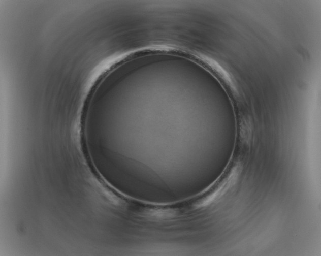 X0000113221327200909101142