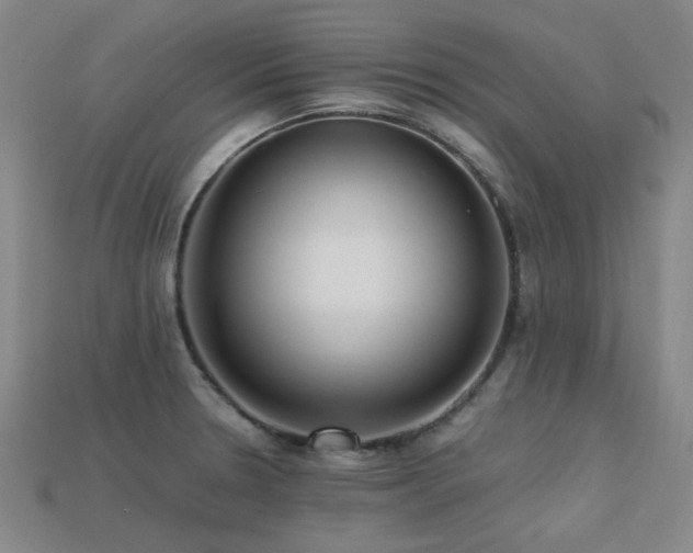 X0000113221330200909101142