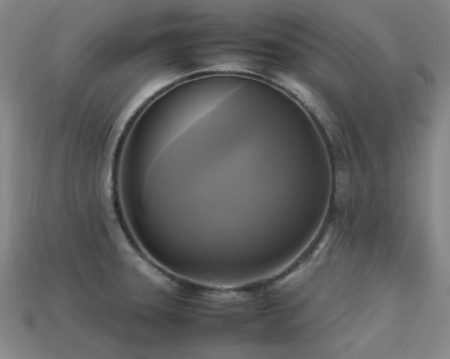 X0000113221331200909101142