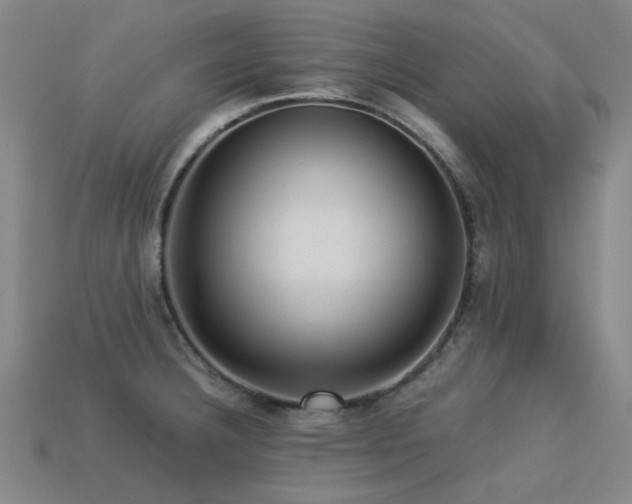 X0000113221332200909101142