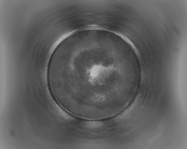 X0000113221333200909101142