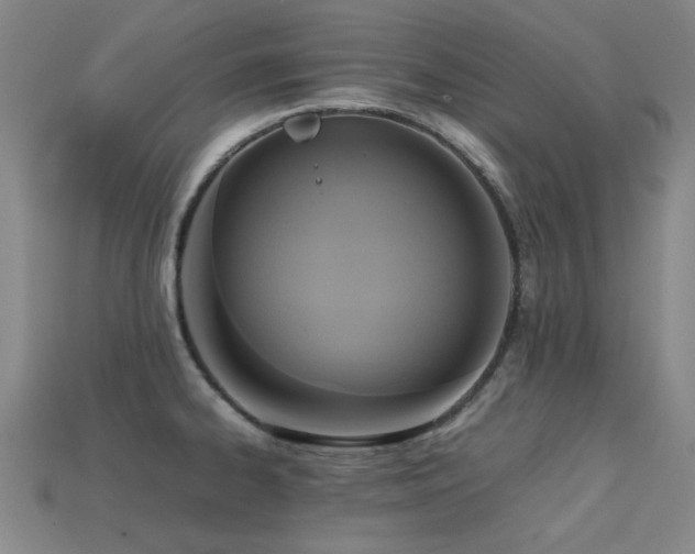 X0000113221334200909101142